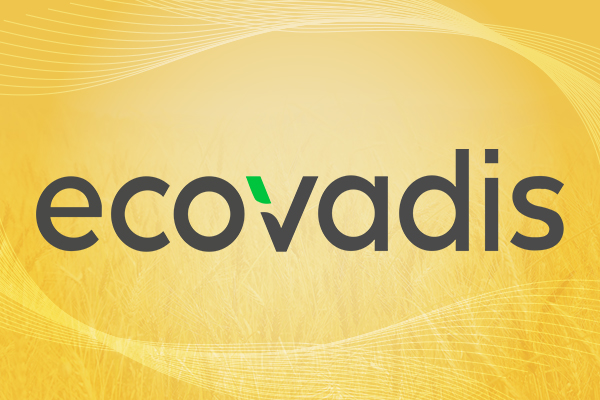 EcoVadis认证现场供应商审计的局限性和演变作用