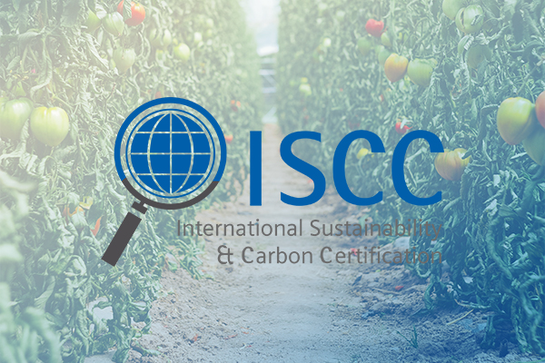  ISCC认证对企业风险评估方法范围要求