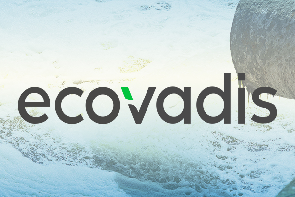 供应商申请ecovadis认证审核范围清单标准