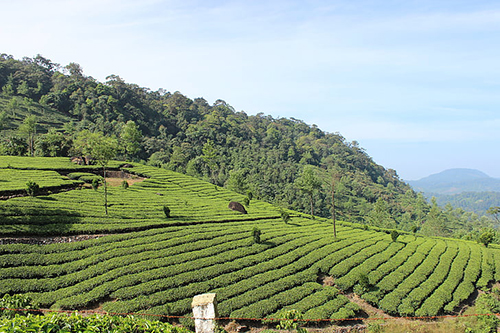 ecovadis认证对企业劳工规范要求标准