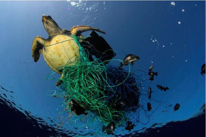 OceanCycle认证对海洋塑料垃圾回收回收含量标准