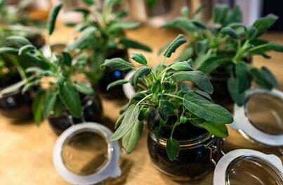 企业申请bcrop共益企业认证让消费者判断好企业标准