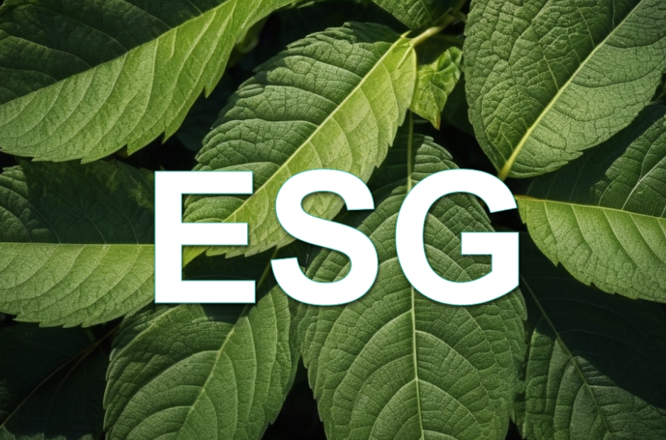 ESG可持续发展对可持续行业申请报告框架事项要求标准