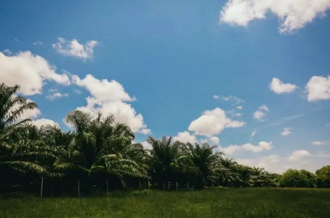 CDP​碳披露对企业工厂申报问卷评分数据框架标准