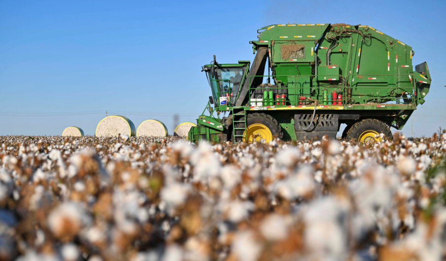 BCI良好棉花对纺织企业CoC标准包含四种模型选项清单